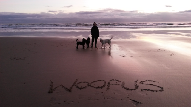Woofus Dog Walking and Boarding