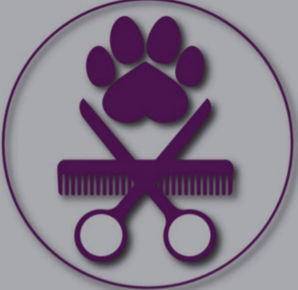 Coast Dog Grooming