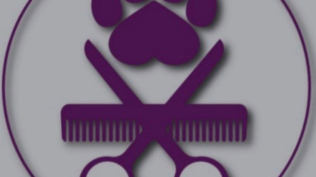 Coast Dog Grooming