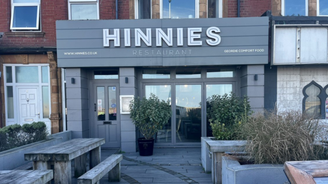 Hinnies