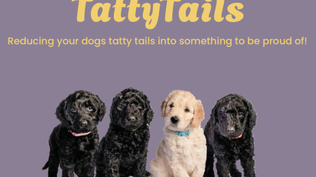 Tatty tails